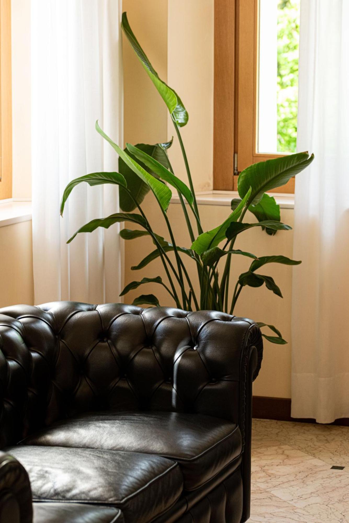 Hotel Phi Astoria 4*