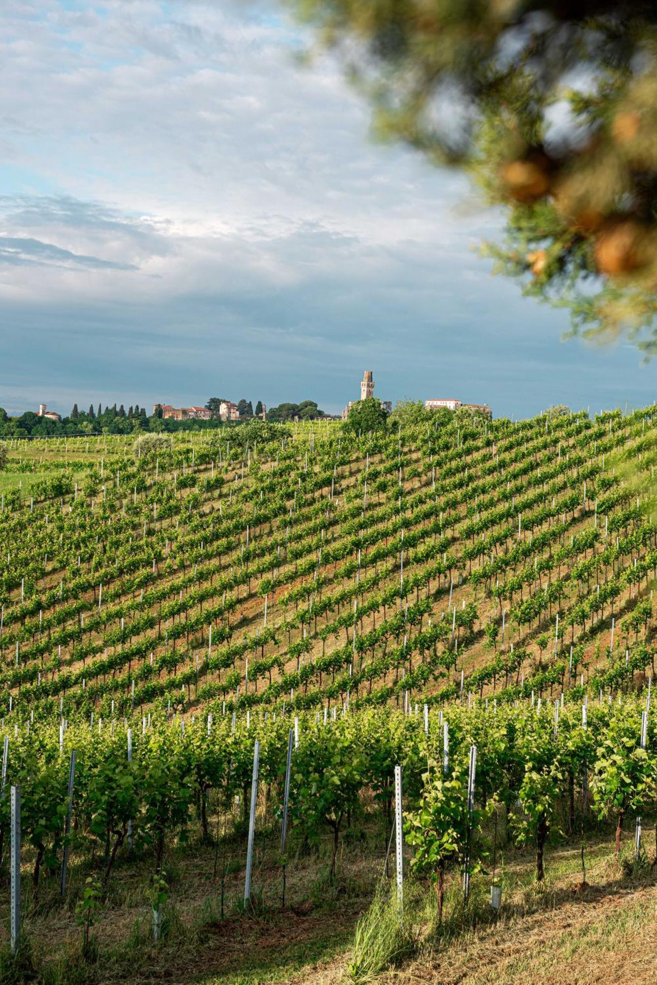 Phi Astoria 4* Susegana
